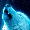 animales112233