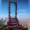 alia__1424