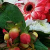 blumenrosa