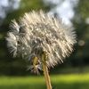 christinejohnso678