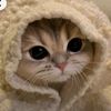 yourlemon_tea