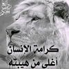 wael.742
