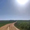 lauraalg93mc