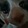 kaci_under_cover