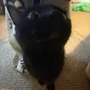 amy.spam.x0x0