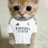 rubeee_rv