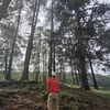 ipan_priandi