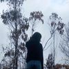 nyki_zz