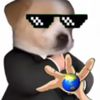 gadiycamioficial0