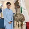 asif.jan.armani