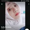 sollystorbery