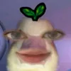 emupqadiii