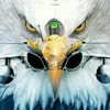 kml_529