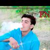 fazangull493
