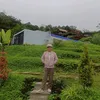 dayahcm