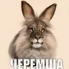 triumf_4