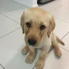 tinybananchik_8642