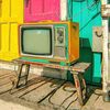 TV Gone Wild