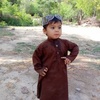 shazibafridi446