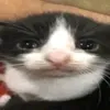 nerf_miner89