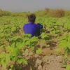 aamirabdullah35