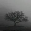 matveyxz2
