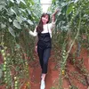 hoahuynh0389