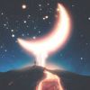 nosibaahmed538
