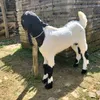 nyonomaheza