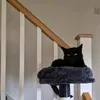 drkahuna1