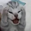 hwiinee