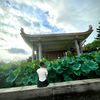 nganhoang200595