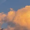 jazzhela23