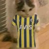 yusuf.eymen.bedle