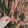 fadillah_235