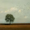 lllipx_f