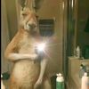 alegandra_81