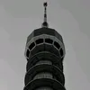 alihassann082