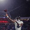 ravensmix