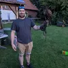 djwharrier