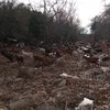 Κωστας Κερασινης