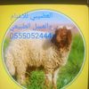 user75767934962156