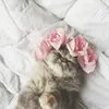 dy7dgxni9ubg