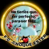 choque.ester
