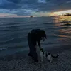 daxwaz_9