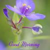 user8423905844947appal