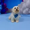 snoopy05dog