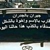 amma12r14