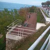 rosaelenamayoresp