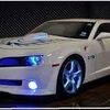 juanflores9605